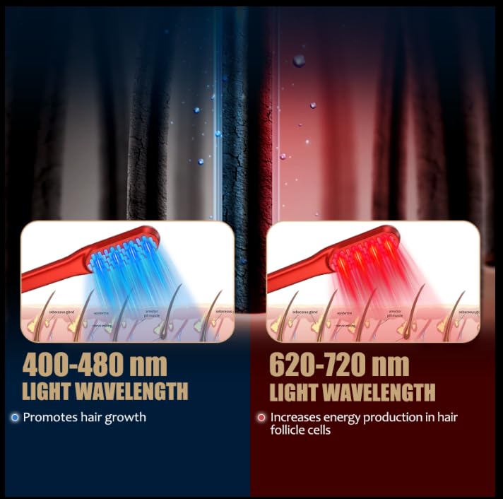 Laser Hair Growth Comb, Red Li - Hair Care Elseve ulasan dan harga