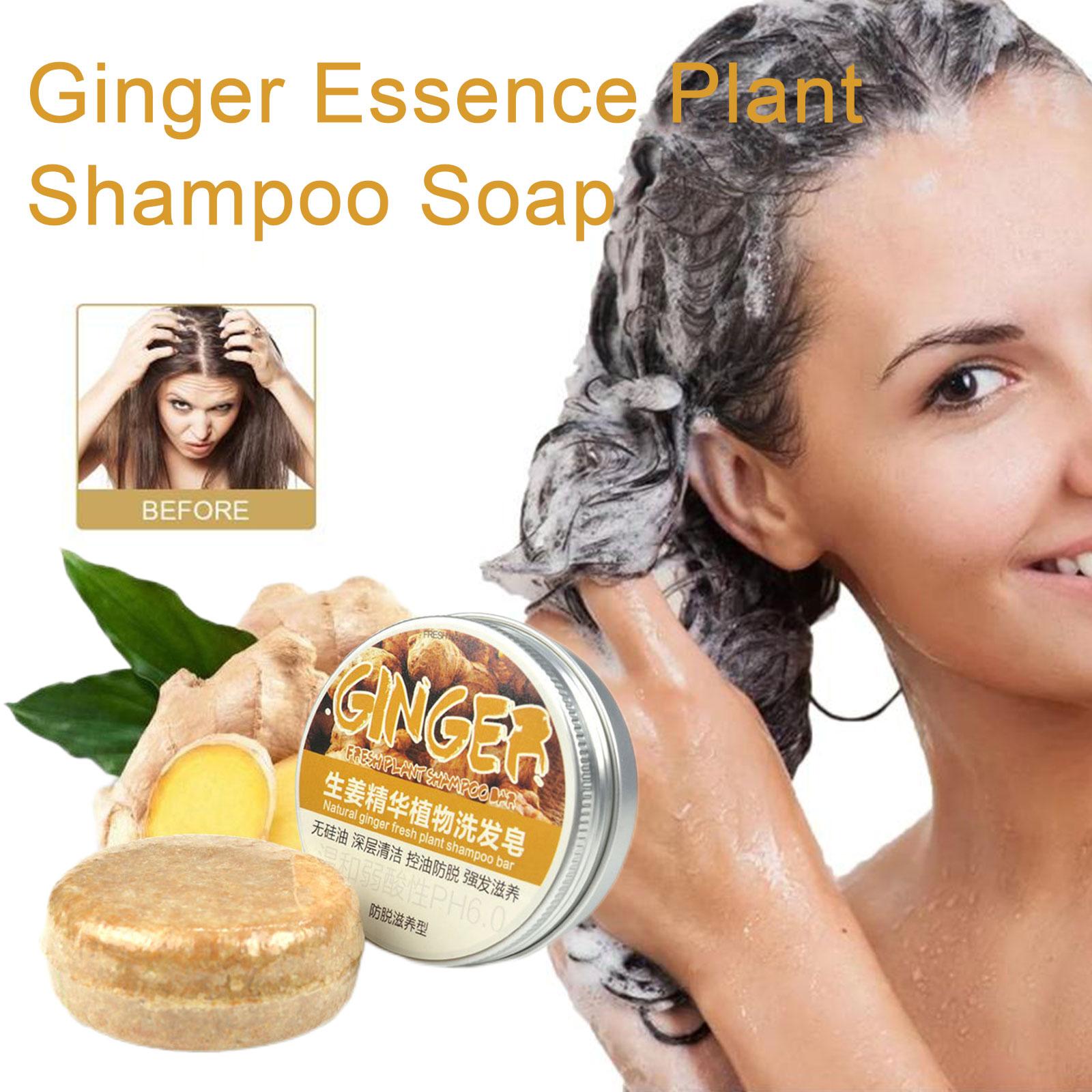 Ginger Polygonum Soap Shampoo  - Hair Care Elseve ulasan dan harga